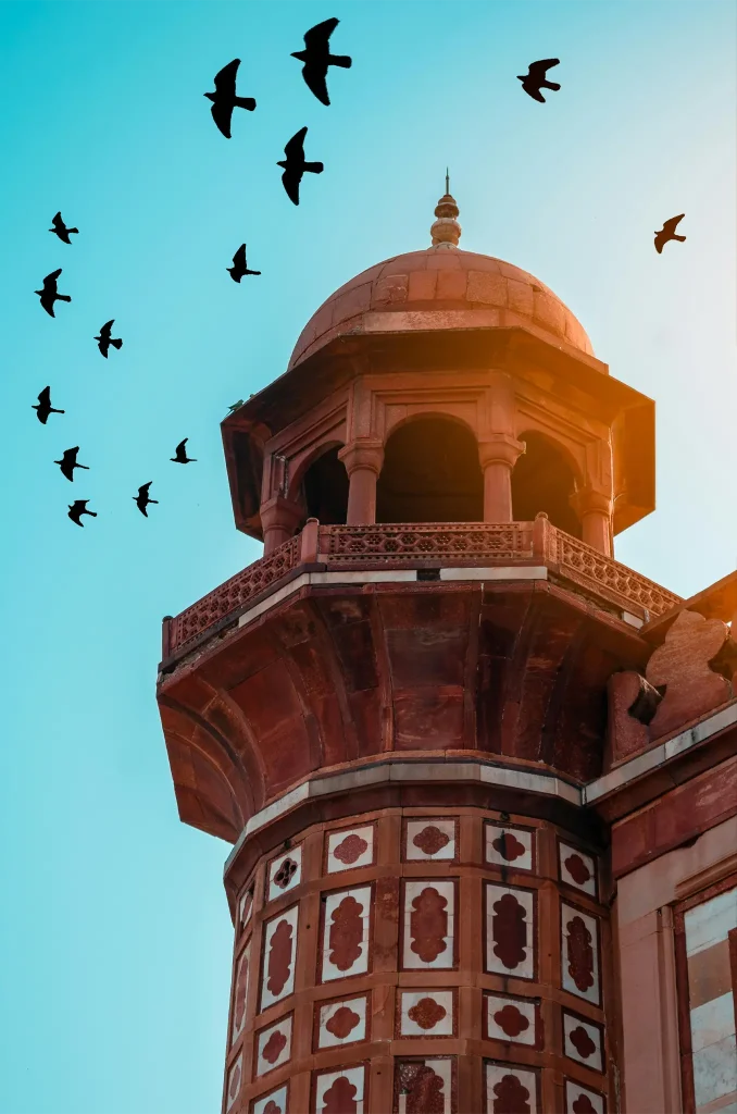 Birds Flying Above a Historical Tower in Delhi, DL, India. Photo by Fuzail Ahmad